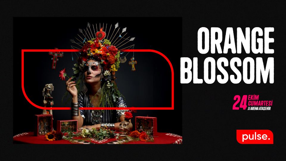 Orange Blossom