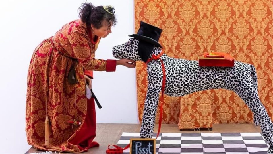 Köpek Biti Sirki