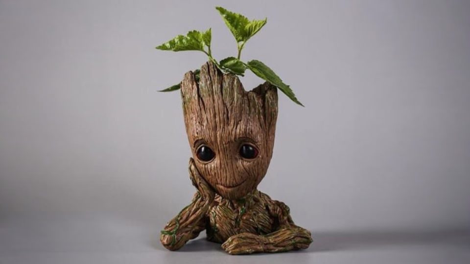 Heykel - Groot